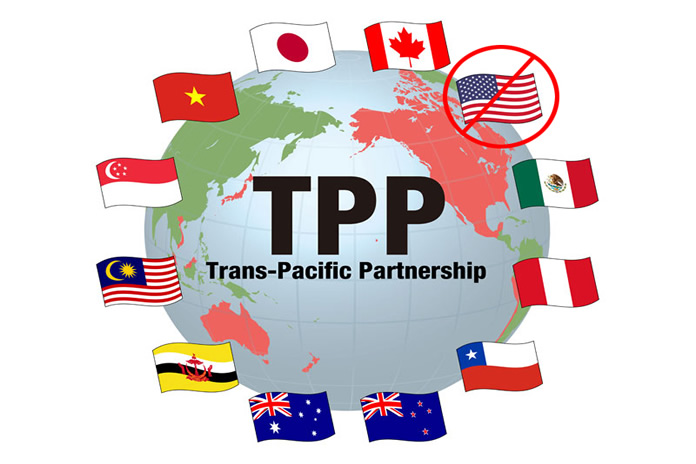 Votación TPP-11