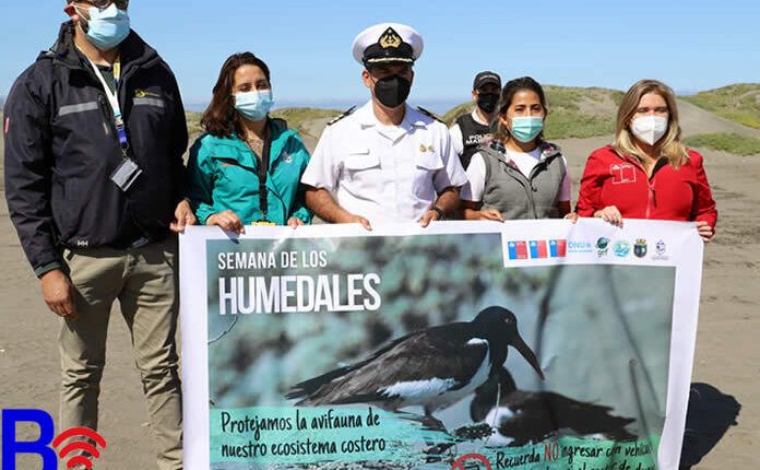 Educación Ambiental