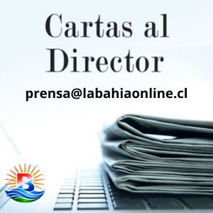 Carta director