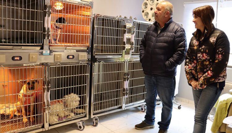 Veterinaria