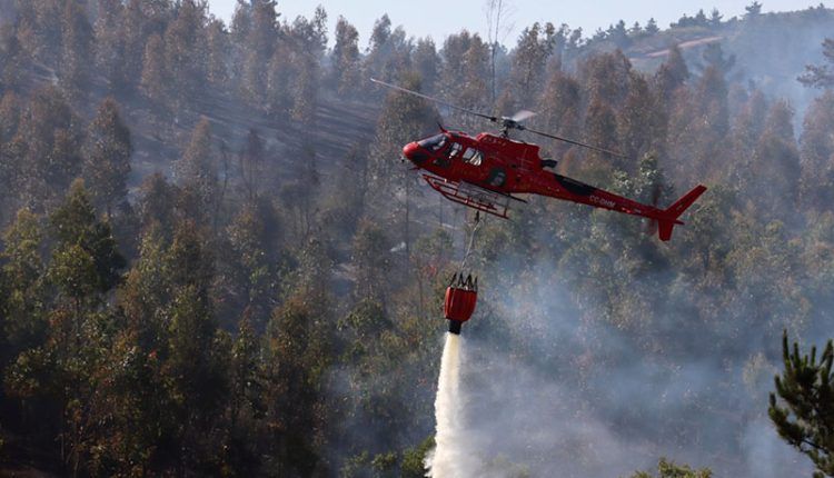 incendio forestal