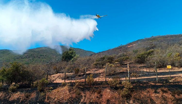 incendio forestal