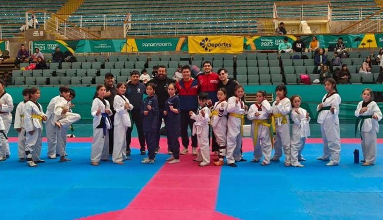 Taekwondo