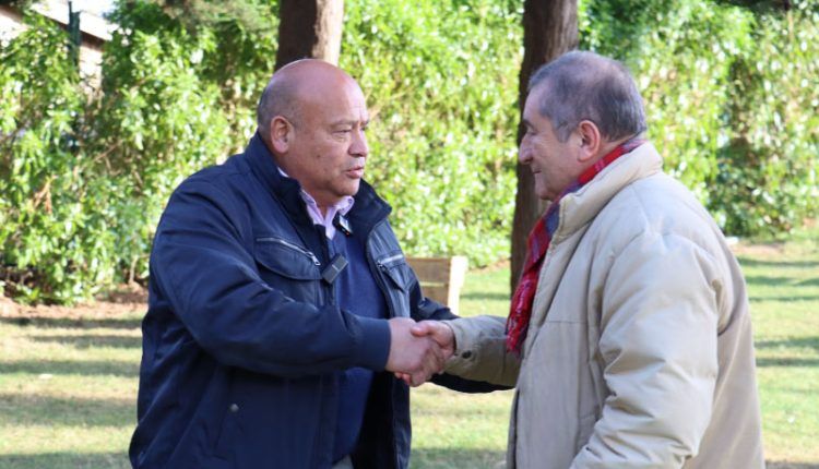 Parque