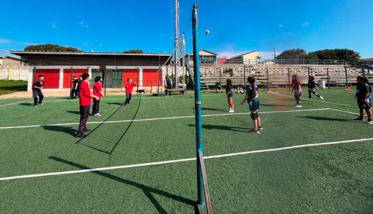 voleibol