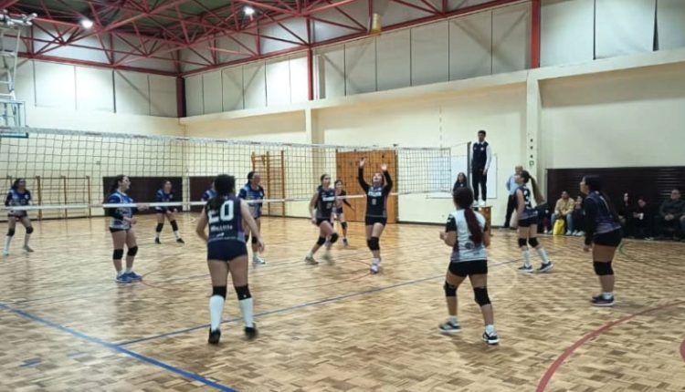voleibol