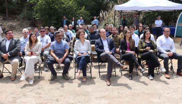Ministra