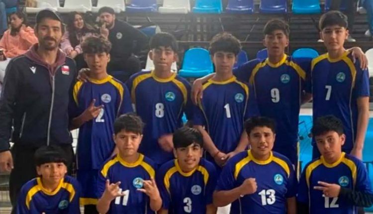 Voleibol